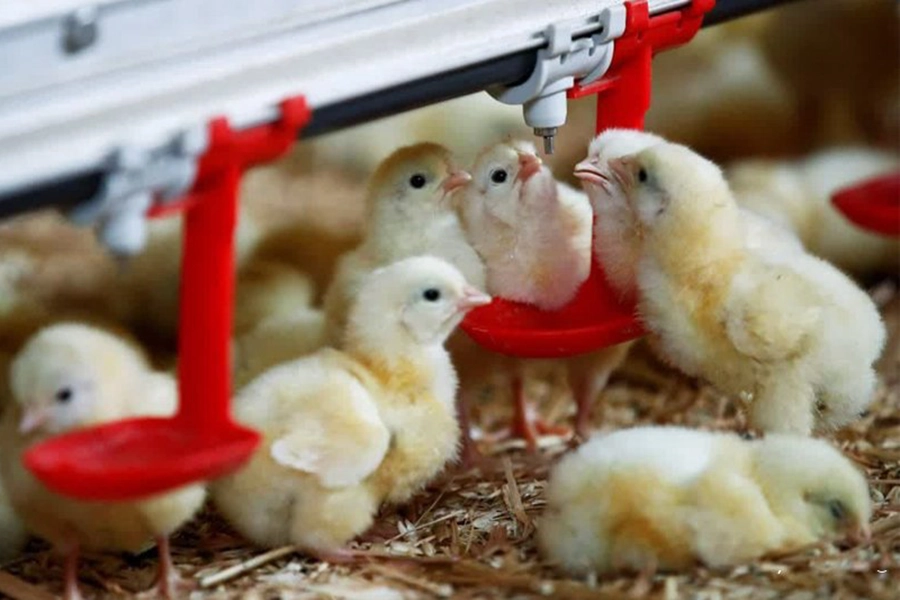 بدنه آبخوری