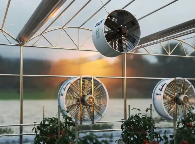 تأثیر فنهای اگزاست